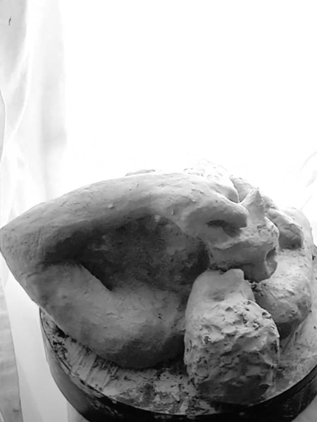 Beloved Companion 2 - 1 Digital Download