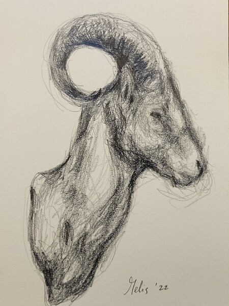 20220707 112037 Digital Download