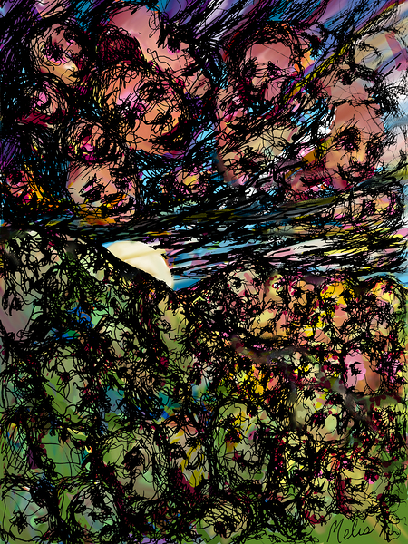 PAREID 1 Digital Download