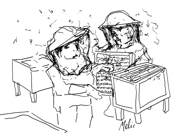 20240331 023501 2 Digital Download