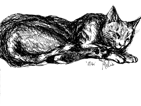 20240520 0157390 2 Digital Download