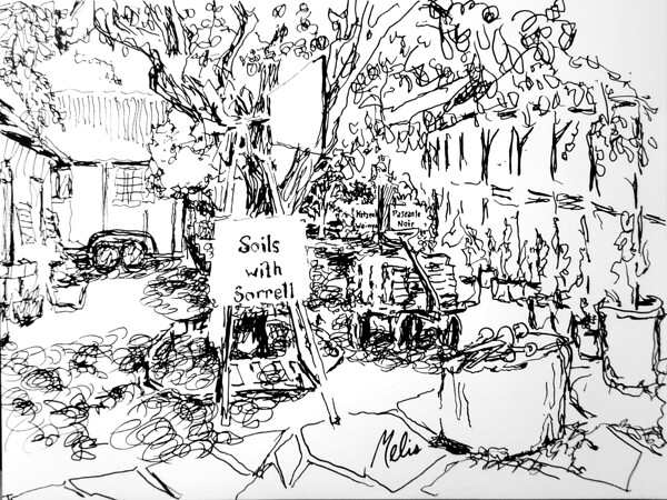 20240511 202804 3 Digital Download