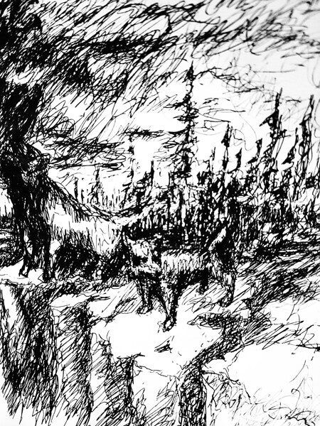 20230716 231807 2   Copy Digital Download