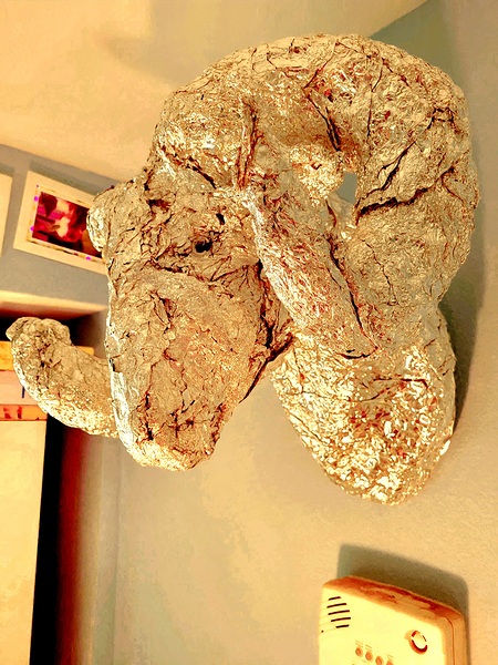 20220225 090824 Téléchargement Numérique