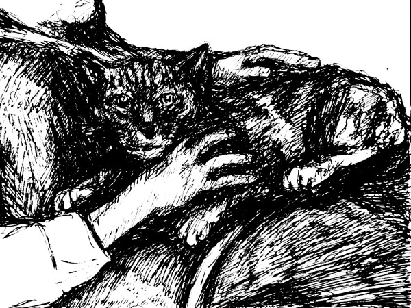 20240307 210517 3 Digital Download