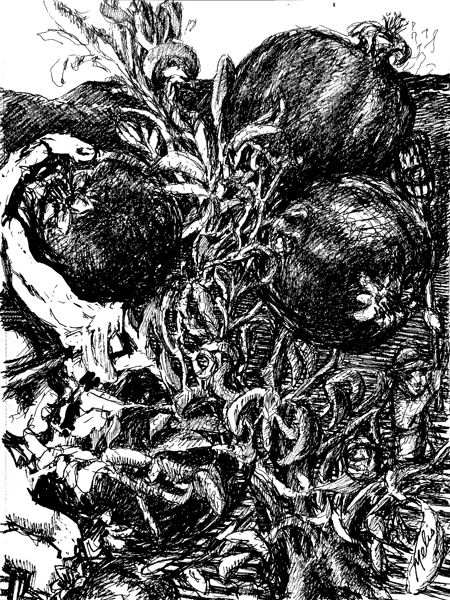 PSX 20250126 045230 Digital Download