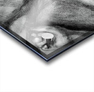 Sketch Portrait | Marc Melis Acrylic print