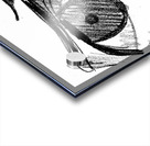 PSX 20240722 223358 Acrylic print