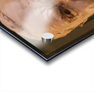 20220429 003823 Acrylic print