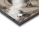 20220606 083255 Acrylic print