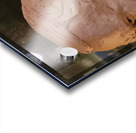 20220429 004057 Acrylic print