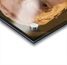 20220429 012244 Acrylic print