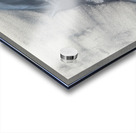 20220616 150726 Acrylic print