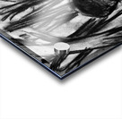 PSX 20240722 225004 Acrylic print