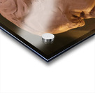 20220429 012216 Acrylic print