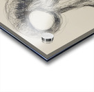 20220707 112037 Acrylic print