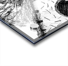 PSX 20240722 225443 Acrylic print