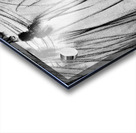 PSX 20240722 225238 Acrylic print