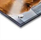 20220429 103141 Acrylic print