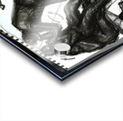 IMAFB8 1 Acrylic print