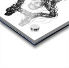 20C4E0 1 Acrylic print