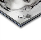 20EED7 1 Acrylic print