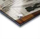 IMG 20 4 Acrylic print