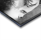 204513 1 Acrylic print