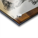 IMG 20 2 Acrylic print