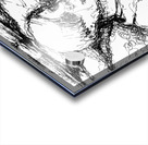 PSX 20 2 Acrylic print