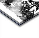 PSX 20240722 175258 Acrylic print