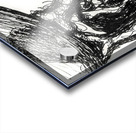 20230805 001728 2   Copy Acrylic print