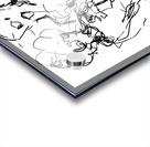 PSX 20240722 175522 Acrylic print