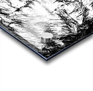 20230716 231807 2   Copy Acrylic print