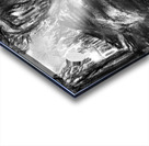 PSX 20240722 171758   Copy Acrylic print