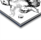 20230702 154729 3   Copy Acrylic print