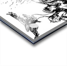 PSX 20240722 174947 Acrylic print