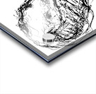 20230702 154548 3   Copy Acrylic print