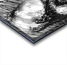 PSX 20240722 174005   Copy Acrylic print