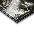 20230923 163721   Copy Acrylic print