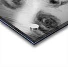 PSX 20240722 215310   Copy Acrylic print