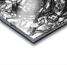 20230628 222744 2 EDIT   Copy Acrylic print