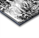 20230202 204734 EDIT   Copy Acrylic print