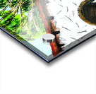 20231210 161040 3 Acrylic print