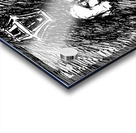 PSX 20240722 180013 Acrylic print