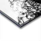 20231113 114933 3 Acrylic print