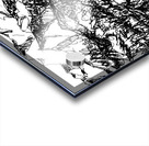 20240107 033706 3 Acrylic print