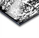 20231203 134730 4 Acrylic print