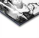 20231116 201954 2 Acrylic print