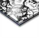 20231214 083435 2 Acrylic print